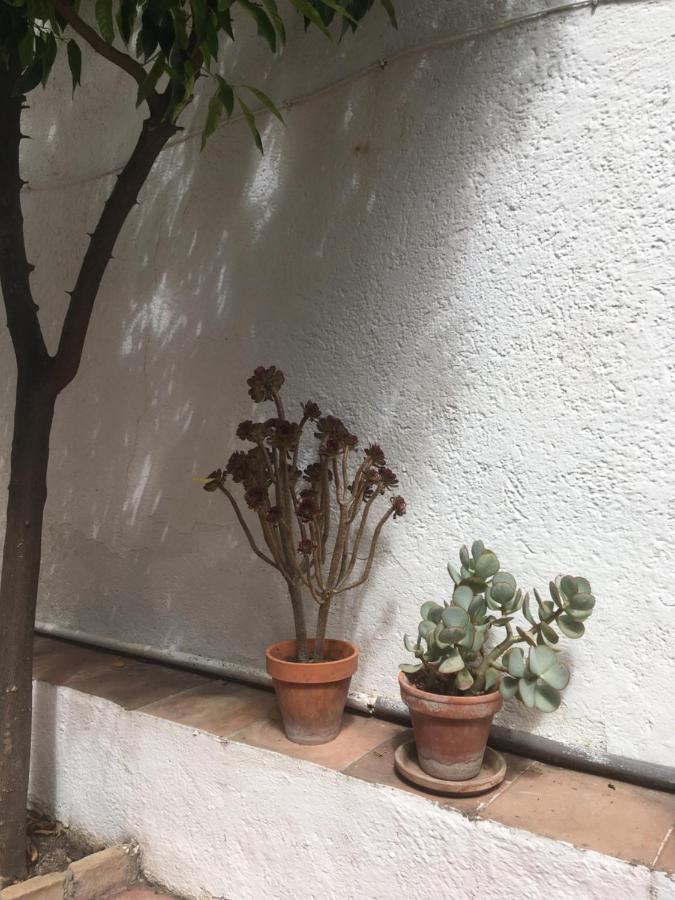 La Casita Del Corralon 2* Granada