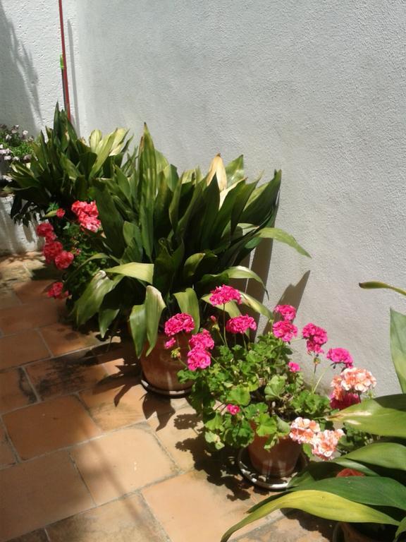 Pensión La Casita Del Corralon