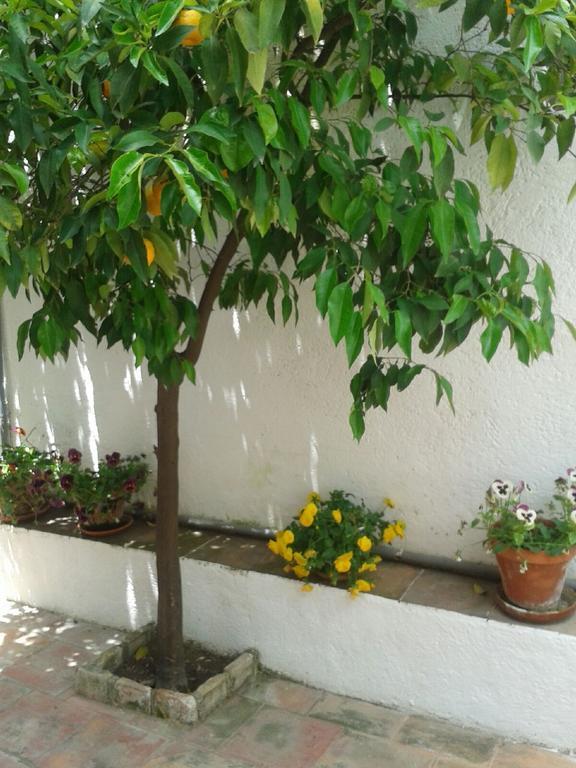 Pensión La Casita Del Corralon Granada